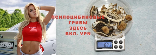 ГАЛЛЮЦИНОГЕННЫЕ ГРИБЫ Осташков