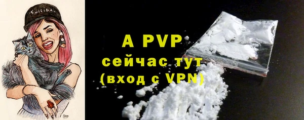 ГАЛЛЮЦИНОГЕННЫЕ ГРИБЫ Осташков