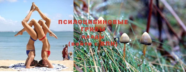а пвп мука Осинники