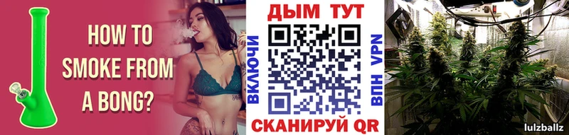 Конопля SATIVA & INDICA  Купить где  Североморск 